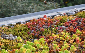the cost of Nursted green roof installation