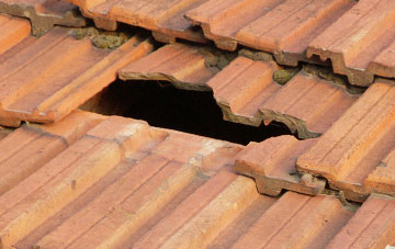 roof repair Nursted, Hampshire